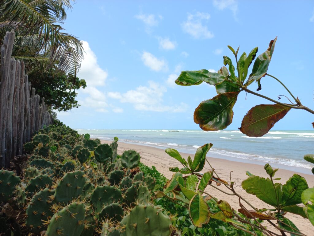 Die Karibik von Brasilien - Entdecken der Nordostküste Brasilien von Maceió nach Maragogi 4 20210928 115258